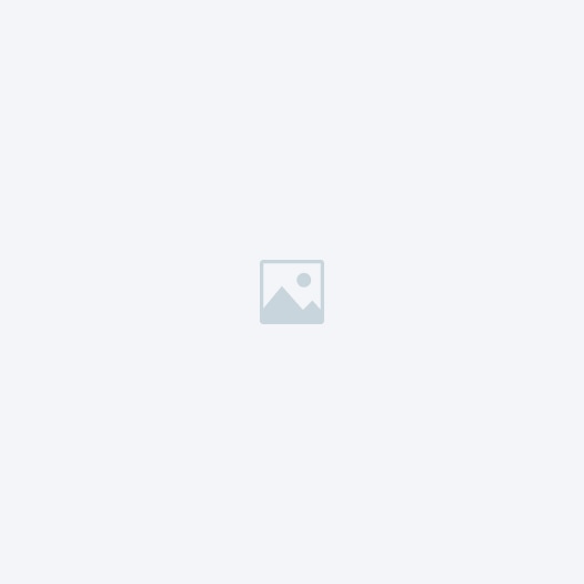 About 526x526 01.jpg